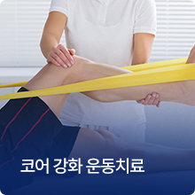 코어 강화 운동치료