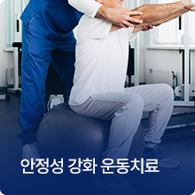 안정성 강화 운동치료